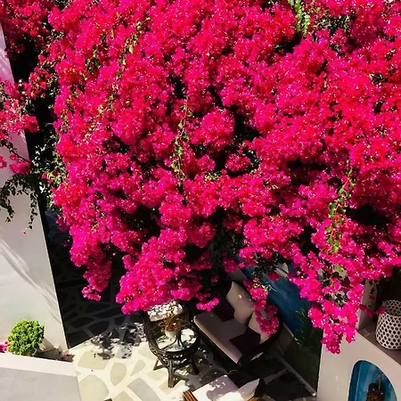 Batistas Апартаменты *