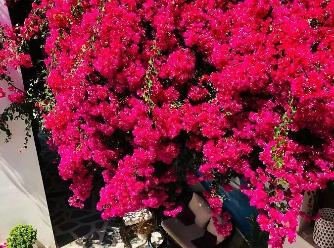 Batistas アパート *